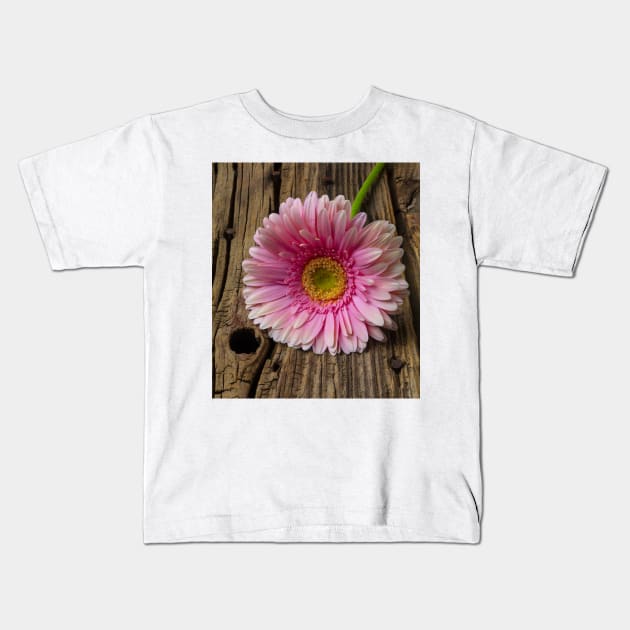 Pink Daisy On Old Boards Kids T-Shirt by photogarry